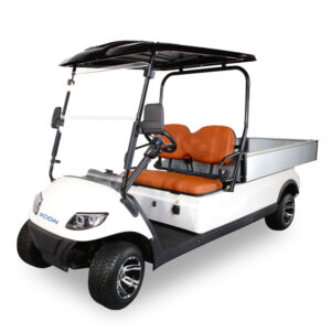 Icon C20U Golf Cart