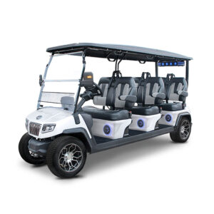 Evolution D5 Ranger 6 Plus Golf Cart