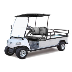Evolution Turfman 1000 Golf Cart