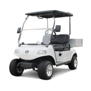 Evolution Turfman 200 Golf Cart